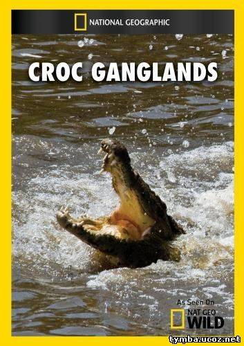 National Geographic. Крокодильи разборки